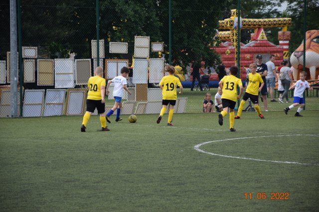 turt 35